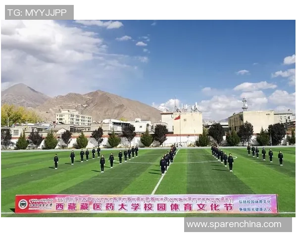 以体育精神凝聚力量推动全民健身促进社会和谐发展的新时代篇章