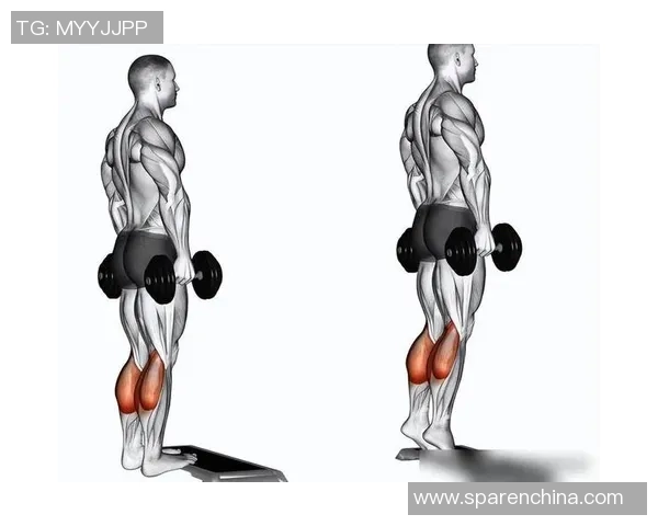 全面提升身体素质的健身指南：从基础动作到高效训练计划的全方位解析