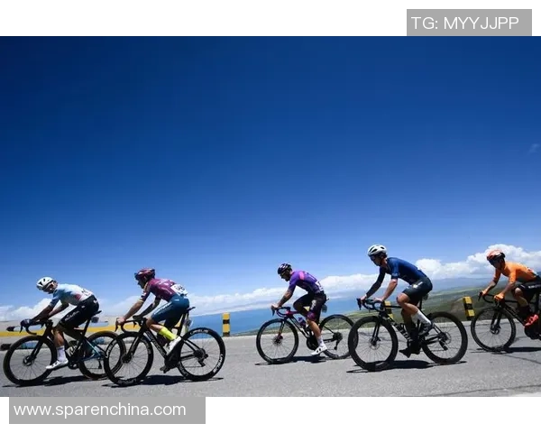 探索全球体育运动魅力促进全民健康活力发展之路多元化时代新趋势研究