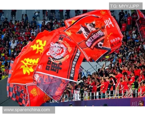 津门虎崛起之路:从传统足球强队到现代足球新风标 津门虎崛起之路:从传统足球强队到现代足球新风标