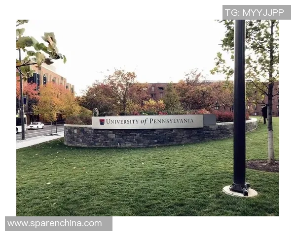 深度洞察NBA赛场风云全面解析联盟未来发展趋势与挑战新局面态